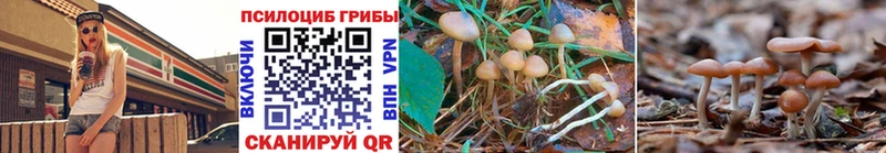 Псилоцибиновые грибы мицелий Юрьевец
