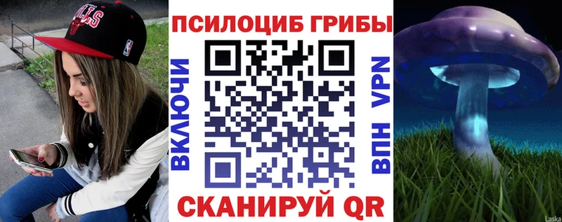 Псилоцибиновые грибы Psilocybine cubensis  Купить где  Юрьевец 